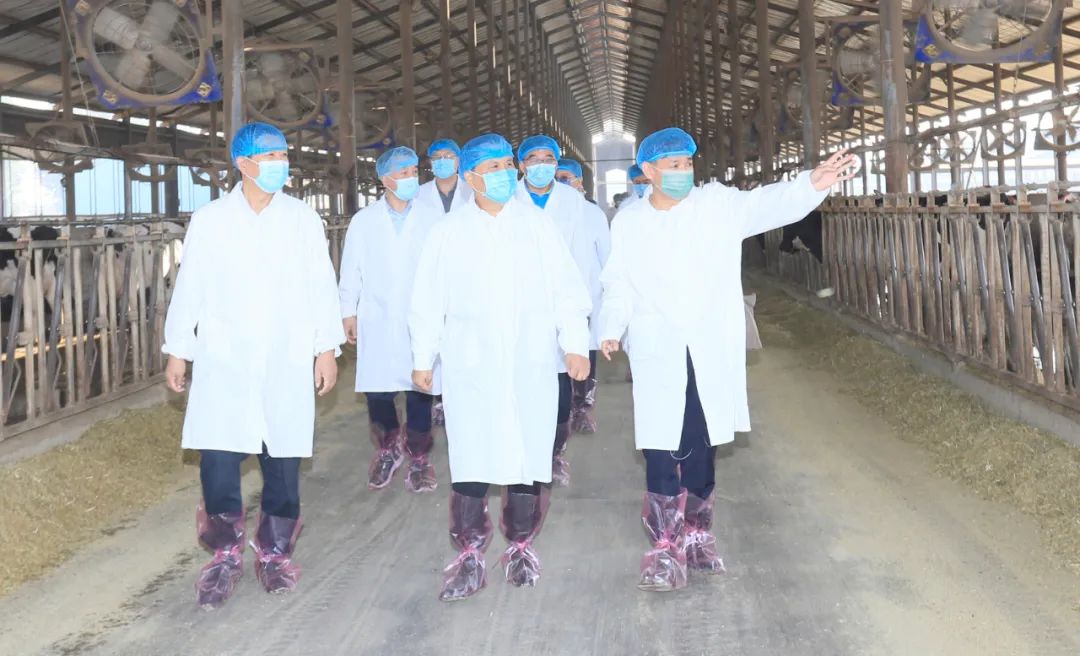 快訊丨河南省人民政府副省長(zhǎng)武國定蒞臨花花牛乳業(yè)集團(tuán)瑞亞牧業(yè)調(diào)研奶源基地建設(shè)情況 快訊丨河南省人民政府副省長(zhǎng)武國定蒞臨花花牛乳業(yè)集團(tuán)瑞亞牧業(yè)調(diào)研奶源基地建設(shè)情況