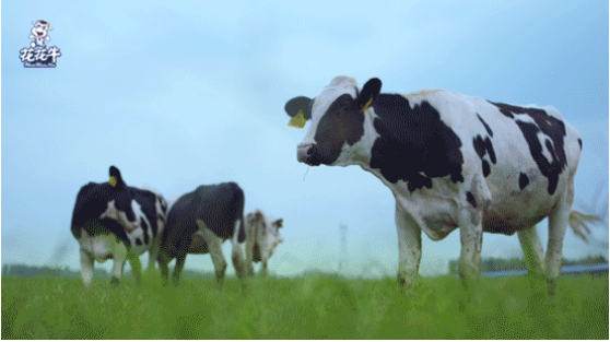 河南省高級(jí)人民法院院長(zhǎng)胡道才一行蒞臨花花牛乳業(yè)集團(tuán)開展“萬(wàn)人助萬(wàn)企”活動(dòng) 助力企業(yè)發(fā)展 河南省高級(jí)人民法院院長(zhǎng)胡道才一行蒞臨花花牛乳業(yè)集團(tuán)開展“萬(wàn)人助萬(wàn)企”活動(dòng) 助力企業(yè)發(fā)展