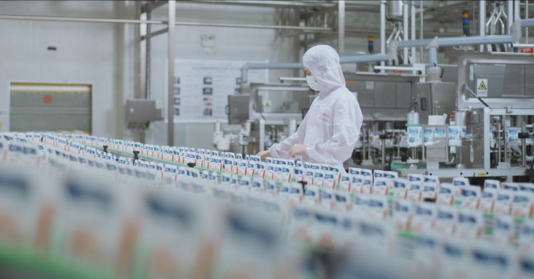 快訊 | 河南省人民政府食品安全委員會辦公室第三批食品安全示范區(qū)驗(yàn)收組領(lǐng)導(dǎo)蒞臨花花牛乳業(yè)集團(tuán)驗(yàn)收食品安全示范區(qū)建設(shè)情況 快訊 | 河南省人民政府食品安全委員會辦公室第三批食品安全示范區(qū)驗(yàn)收組領(lǐng)導(dǎo)蒞臨花花牛乳業(yè)集團(tuán)驗(yàn)收食品安全示范區(qū)建設(shè)情況