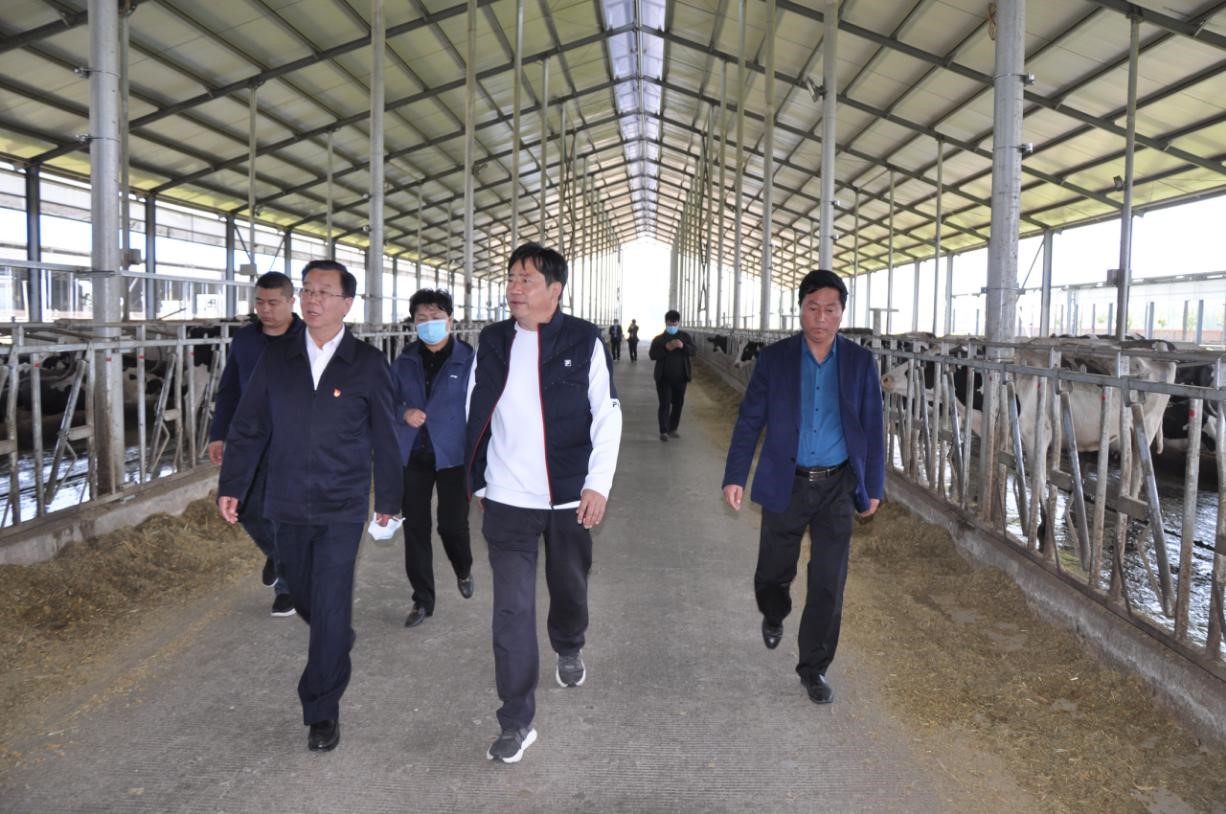 商丘市委常委、宣傳部部長王全周一行蒞臨睢縣瑞亞牧業(yè)有限公司調(diào)研
