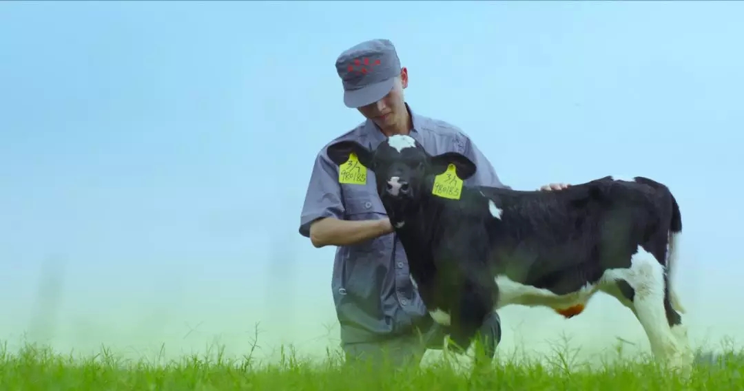 喜報 | 國家市場監(jiān)管總局抽檢，花花牛等112家企業(yè)乳品抽檢全部合格