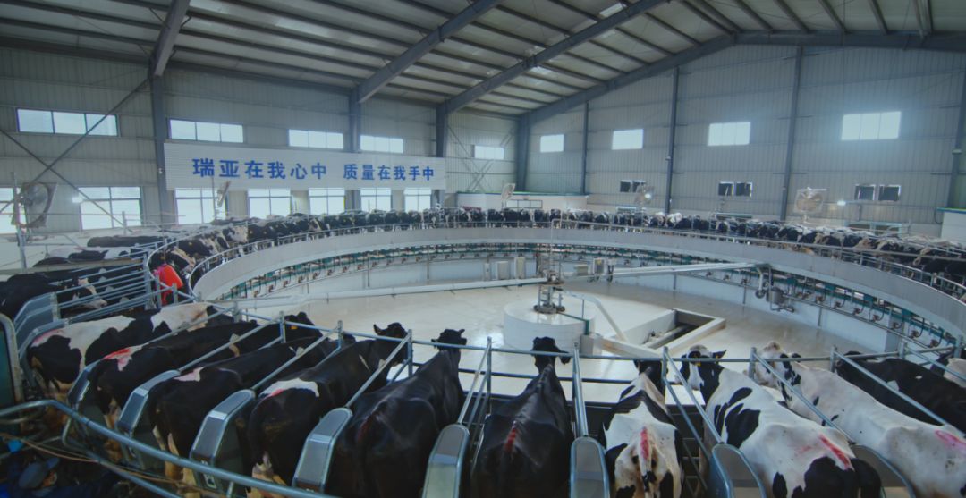 花花牛集團(tuán)旗下六家公司入選省農(nóng)業(yè)產(chǎn)業(yè)化重點龍頭企業(yè)名單 花花牛集團(tuán)旗下六家公司入選省農(nóng)業(yè)產(chǎn)業(yè)化重點龍頭企業(yè)名單