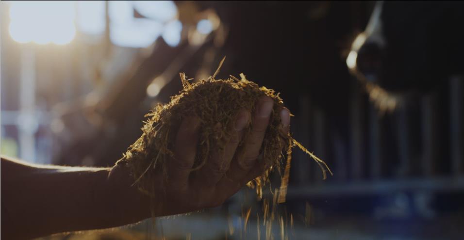 又雙叒叕獲獎(jiǎng)啦！花花牛榮獲“乳品質(zhì)量安全管理 優(yōu)秀企業(yè)”