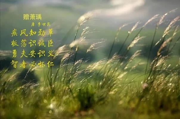 花花牛 | 疾風(fēng)來(lái)臨，你是不是勁草？