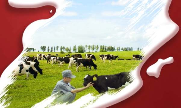 喜報！花花牛董事長關曉彥再獲”優(yōu) 秀企業(yè)家”稱號