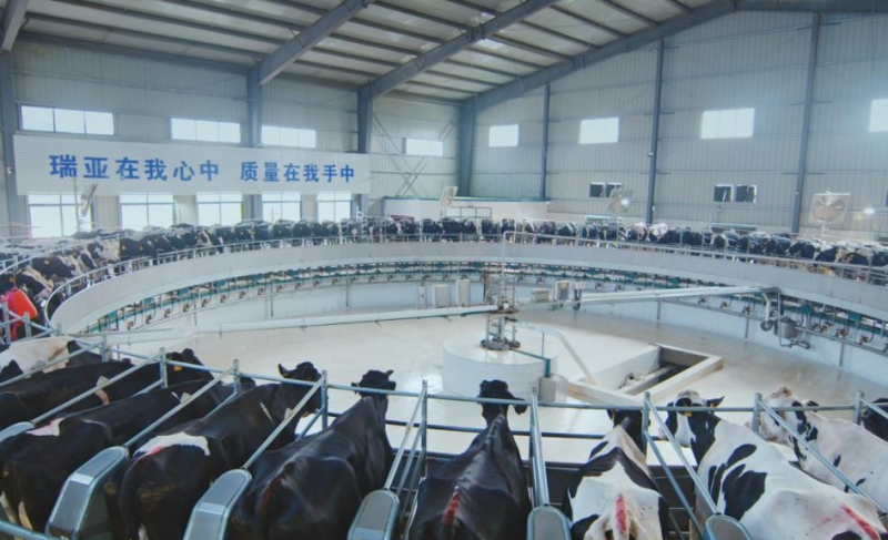 扶溝瑞亞牧業(yè)有限公司年存欄6000頭奶牛養(yǎng)殖建設(shè)項(xiàng)目 環(huán)境影響評價(jià)公眾參與第二次公示